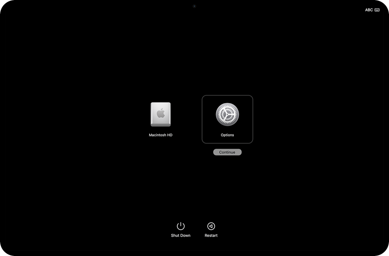 The macOS Recovery startup options screen, with Options selected and a Continue button.
